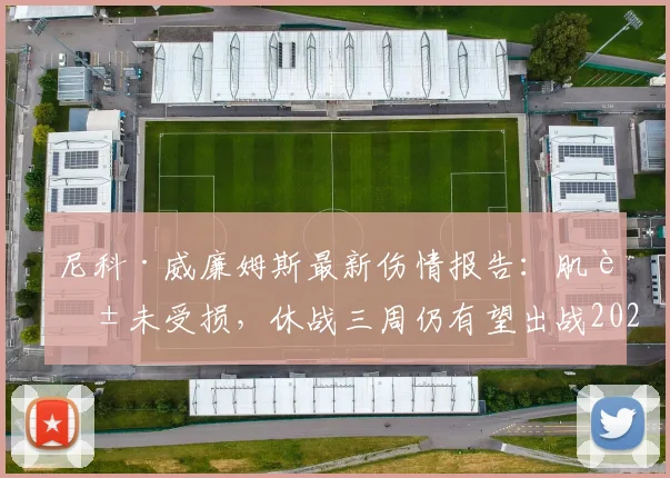尼科·威廉姆斯最新伤情报告：肌腱未受损，休战三周仍有望出战2026世界杯